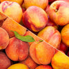 Nectarine