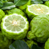 Bergamot